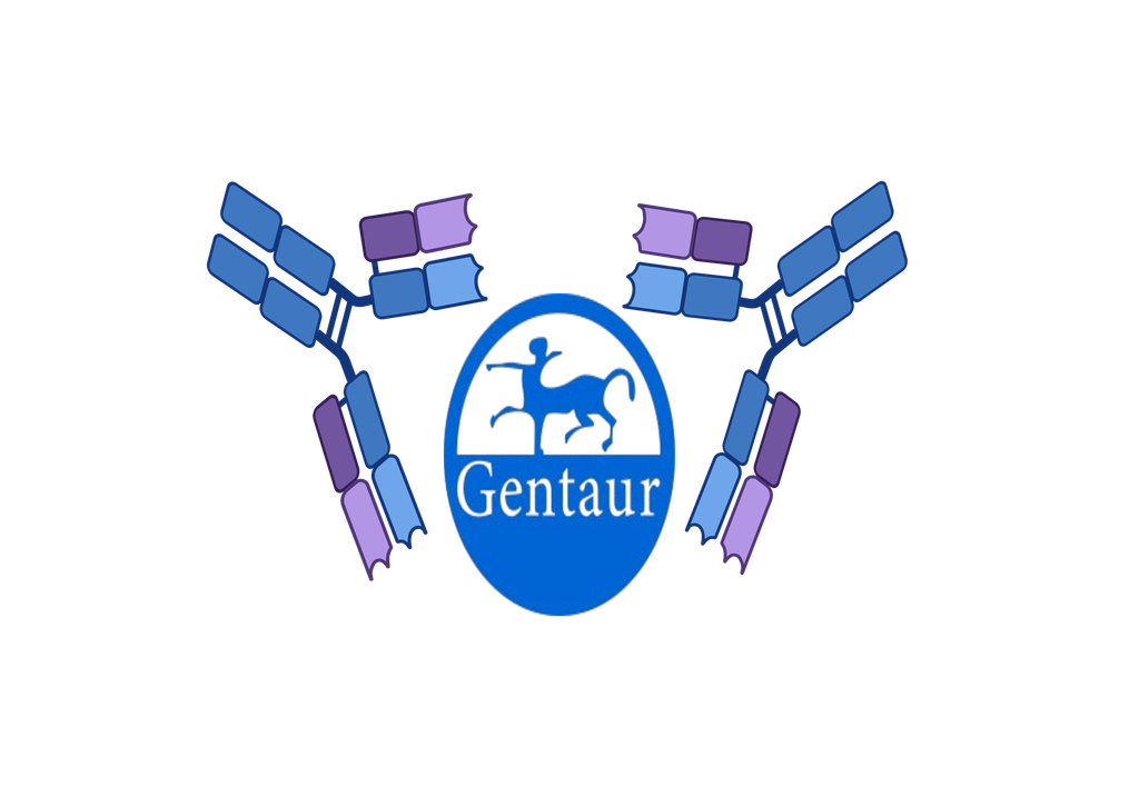  rapid test for determination of vaginal fluid pH, applicator