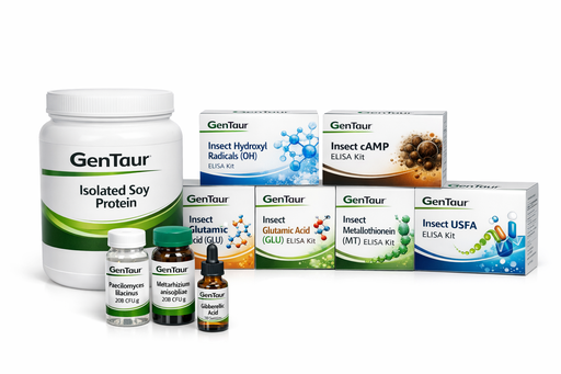 [RNSS-ERG2] Saccharomyces cerevisiae ERG2 Knockout Strain