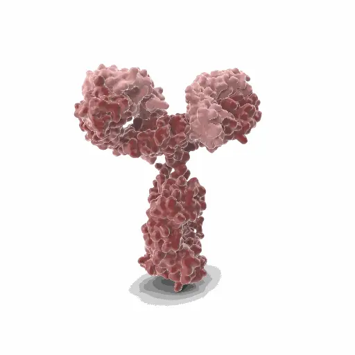 [GEN-ANTI-06] Gentaur Red 549 Mab Antibody