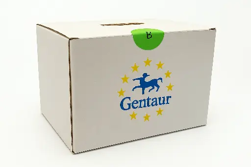[FM-MS-NOR-3001] Shaker Orbital Anti-Moisture, 30 × 30 cm platform