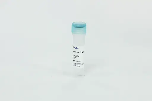 [EA0204] RT-LAMP Colorimetric Master Mix (Red to Yellow)